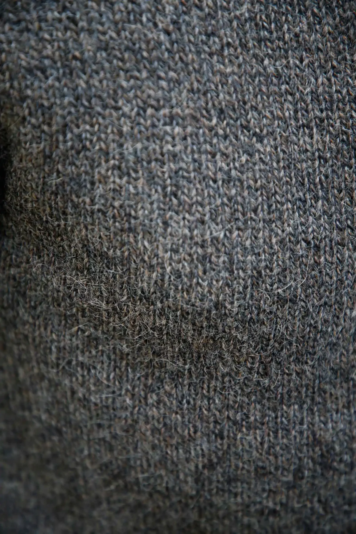 CHICAMA_pull_cuezco_fawn_4